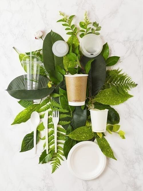 Eco Friendly Disposables